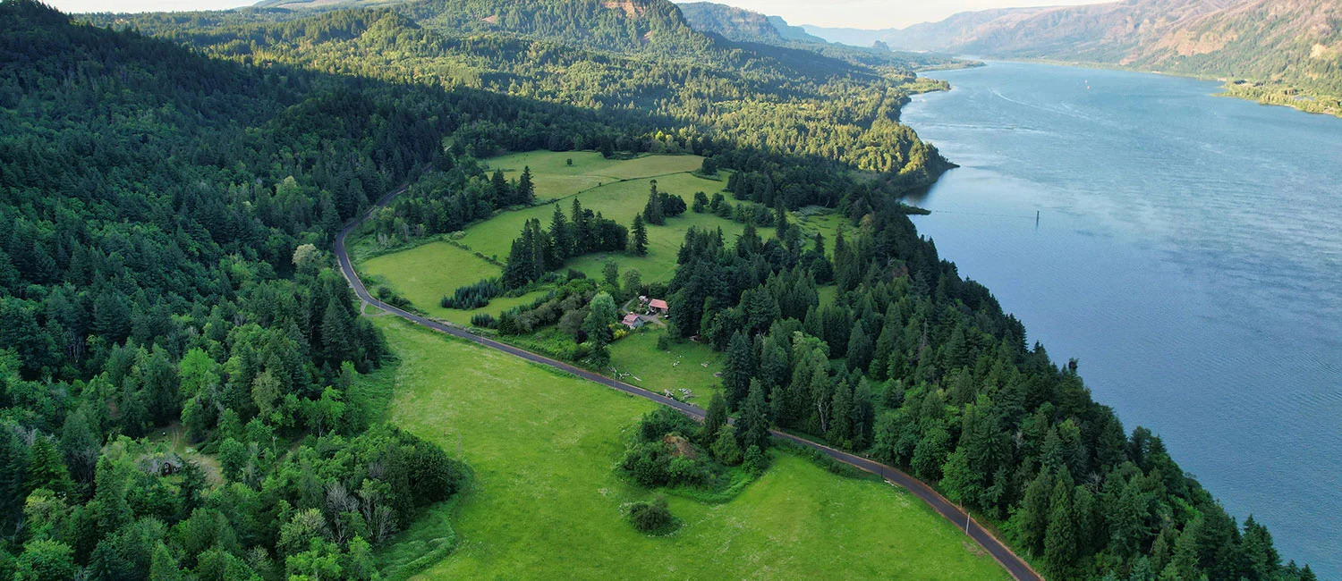 Explore The Gorge With Your Four-Legged Friend
