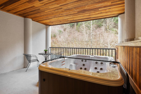 One bedroom Hot Tub Suite Mountain View